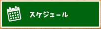 スケジュール